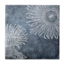 Zoek naar anemone tegels Oceaan