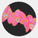 Zoek naar roze orchidee stickers Floreel