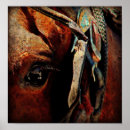 Zoek naar amish kunst Fotografie