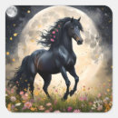 Zoek naar paard stickers Zwart