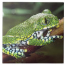 Zoek naar tanzania tegels Fauna