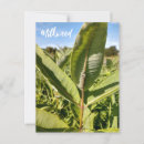Zoek naar rups briefkaarten Trapezium