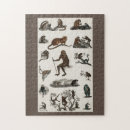 Zoek naar apes puzzels Chimpansee