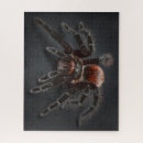 Zoek naar tarantula puzzels Arachnid