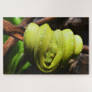 Zoek naar groene slang puzzels Elk persoon