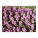 Zoek naar kanaal kalenders Nederland