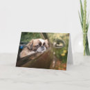 Zoek naar pekinese kaarten Puppy