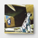 Zoek naar vliegtuig fotoplaat Wwii