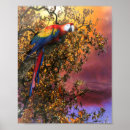 Zoek naar papegaaien kunst Tropische papegaai