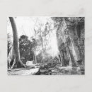 Zoek naar van angkor wat briefkaarten Architectuur