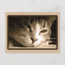 Zoek naar sepia kleur posters Fotografie