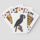 Zoek naar papegaaien speelkaarten Vogel