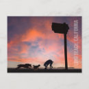 Zoek naar hond silhouet briefkaarten Zonsondergang