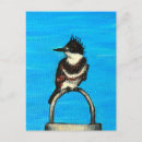 Zoek naar ijsvogel briefkaarten Ijsvis