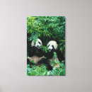Zoek naar panda kunst Fauna