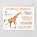 Zoek naar giraffen briefkaarten Ieder kind