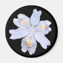 Zoek naar iris magneten Natuur