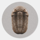 Zoek naar fossielen stickers Paleontoloog