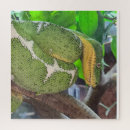 Zoek naar groene slang puzzels Reptiel