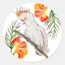Zoek naar vogel tekening stickers Mooi