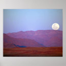 Zoek naar namib posters Sand