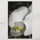 Zoek naar orchidee briefpapier Bloemen