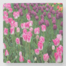 Zoek naar tulp onderzetters Oranje