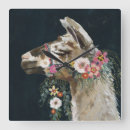 Zoek naar llama klokken Dieren