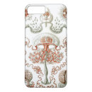 Zoek naar ernst haeckel iphone hoesjes Natuur