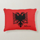 Zoek naar reizen kussens Vlag