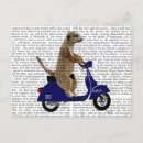 Zoek naar meerkat briefkaarten Hedendaags