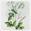 Zoek naar guirlande stickers Botanisch