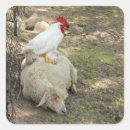 Zoek naar grappige schapen stickers Fotografie