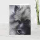 Zoek naar keeshonden kaarten Elk persoon