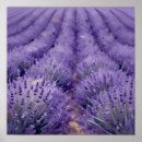 Zoek naar natuur studie posters Landschap