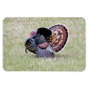 Zoek naar wild magneten Vogel