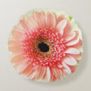 Zoek naar gerbera kussens Floreel