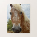 Zoek naar verf paarden puzzels Dier