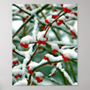 Zoek naar wintertijd posters Bomen
