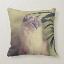 Zoek naar ragdoll kussens Blauw