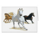 Zoek naar wind Paard