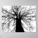 Zoek naar boom silhouet posters Elk persoon