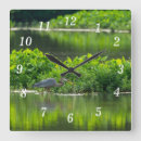 Zoek naar reiger klokken Wilde dieren