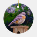 Zoek naar oostelijk ornamenten Blauwvogel