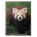 Zoek naar rode panda notitieboeken Rood