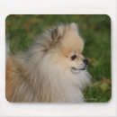 Zoek naar headshot muismatten Hond