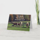 Zoek naar grappige mol kaarten Oud