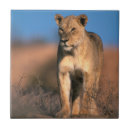 Zoek naar vrouw tegels Dag