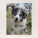 Zoek naar australian shepherd puzzels Dieren