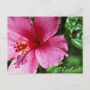 Zoek naar keerkringen briefkaarten Plant